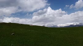 TARKANA MEADOW TOP Chattar Plain