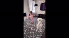 Adorable moment toddler and dog dance together in Canadian home