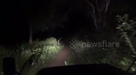 Elephant approaches onlooker's vehicle in Sri Lanka