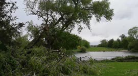 Heavy Wiinds Do Damage In Royal park