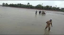 Indian police evacuate 91-year-old woman as Cyclone Yaas approaches