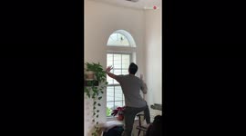 'Hubby to the Rescue! Escorting a Trapped Bird to Safety '