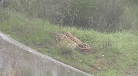 Body of missing 1 year old found in polluted canal in Langa Cape Town
