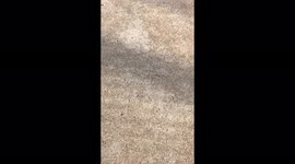 Skating the streets with the homies!! Nose manual nollie flip out