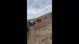 Daring bull rider in Idaho almost gets slammed by massive bull