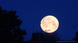 'Super flower blood moon' sets over east London