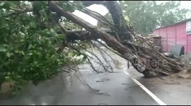 Cyclone Yaas slams into Indian state of Odisha with high winds and rain