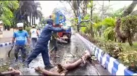 More than a million evacuated as Cyclone Yaas wreaks havoc in eastern India