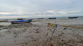 Fishing boats left aground as Cyclone Yaas causes low tides in southern India