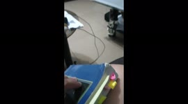 Lovebirds Hate Seeing Someone Studying and Working