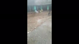 India: Cyclone Yaas Makes Landfall, Leaves Trail Of Damage In Eastern Coastal Areas 2