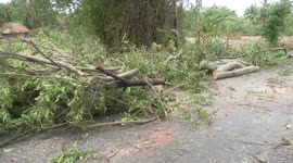 Cyclone Yaas ravages India as trees, electric poles are uprooted