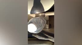 Plastic water bottle acts like magnifying glass and sets car seat on FIRE