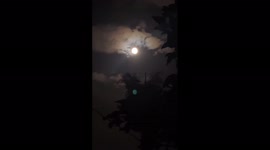 US: Flower Supermoon Lights Up Skies Across The Sates