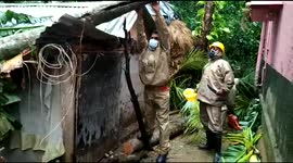 Moo-ve it! 8 trapped cows are bravely rescued by Indian crews following cyclone