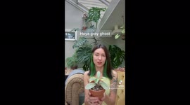 Woman in Washington reviews plants worth $1000 on TikTok