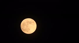 Canada: Flower Supermoon Lights Up Ontario’s Sky
