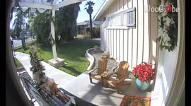 'California Woman in Awe of Amazon Driver's Sweet Gesture '