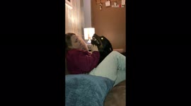 This Rottweiler growls intensely when demanding pets from owner