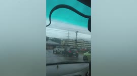 Scary moment snake slithers across car windscreen during storm