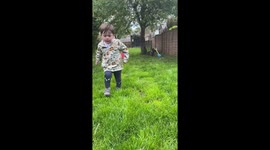 Toddler gets upset with dog when she steals his toy rake! Very funny reaction.