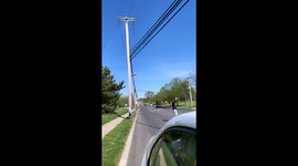 Couple stop by to help an old woman cross the street on heavy traffic!