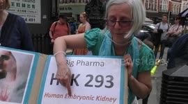 HEK 293 abortion trafficking industry