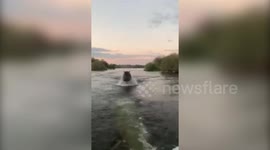 Terrifying moment GIANT HIPPO angrily chases sightseers' boat in Zambia