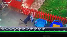 Good deed gone wrong toddler