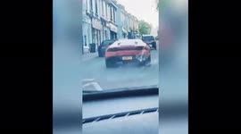 Dog living it’s best life cruising around town in Lamborghini