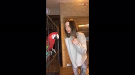 'Turkish Girl's Funny Conversation with Parrot Caught on Camera'