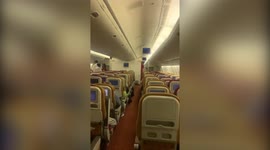 Air India flight forced to make emergency landing after a BAT was caught flying through the plane