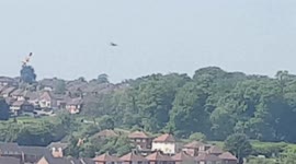 Red kite Birds Flying on this hot day
