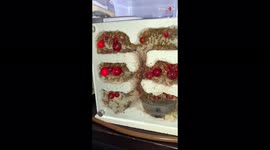 US man keeps species of ant that live as 'living refrigerators' for colony