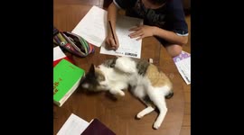 Homework Can Wait, Play With Me!