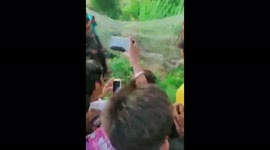 Innocent Python Brutally Beaten and Killed by Local Villagers