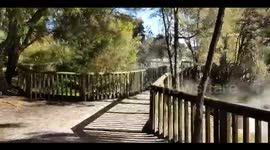 Kuirau Park: With its unique geothermal lake, a public park, totally free, located in Rotorua New Zealand.
