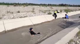 Police officers jump into canal to save sheep washed away by rapid water in China