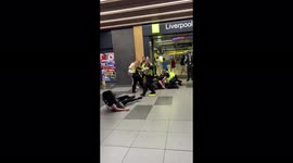 Woman hits head after she is pepper-sprayed and pushed over by police at UK train station