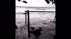 Philippines: TS Choi-Wan Barrels Through Visayas, Luzon Regions With Heavy Rains And Gusty Winds 2
