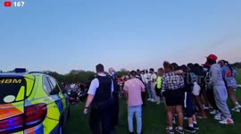 Police and ambulances at chaotic aftermath of Hyde Park stabbing