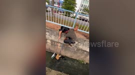 Passersby saves kitten stuck in dirty canal using cardboard, rope