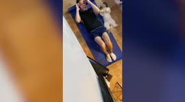 Adorable footage shows dog attempting to mimic sit-ups workout
