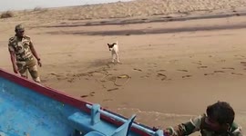 Dog stranded on island by tidal wave rescued in east India
