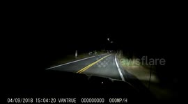 3 Baby foxes playing in the street