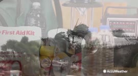 How long does food stay fresh during a power outage?