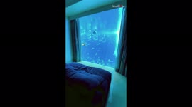 This 5-star hotel in Dubai has rooms that back onto an aquarium