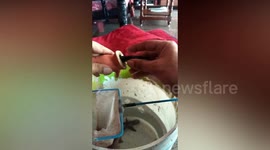 Heart warming moment man rescues fish after seeing its head stuck inside an aquarium toy