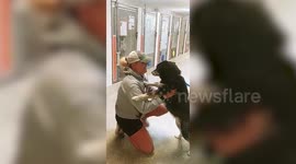 Heartwarming moment dog is reunited with US owner after being found 240 MILES away from her home in Savannah, Georgia