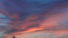 Birds and an airplane fly across an orange sky after sunset in Thailand.
